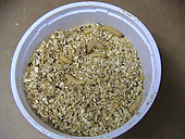 Buy Live Wax Worms That Are Plump, Healthy and Disease Free. Free Shipping on Wax Worms!